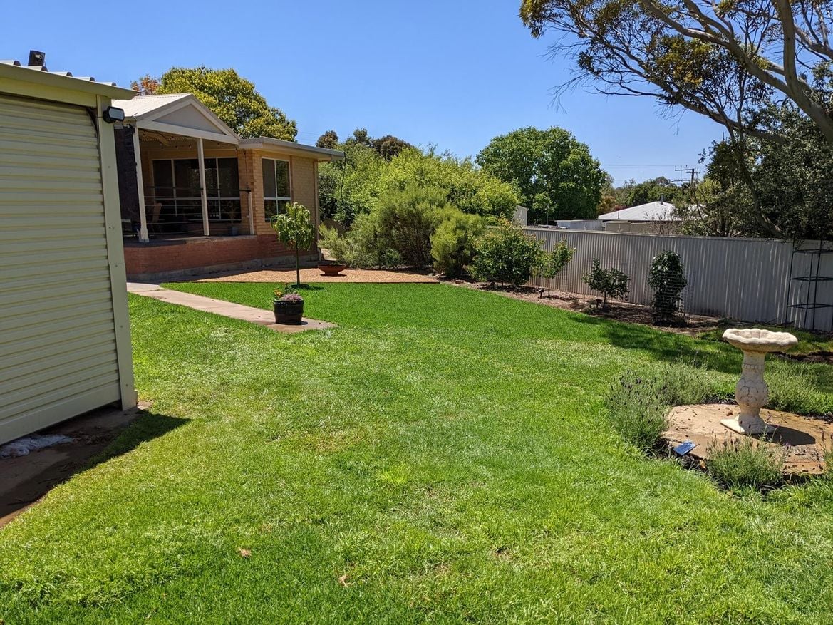 PXL_20211128_020455886.MP.jpg PXL_20211128_020455886.MP.jpg