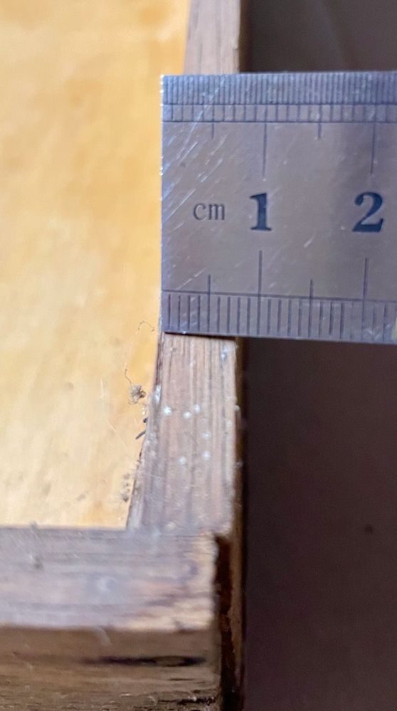 IMG_0320.jpeg IMG_0320.jpeg