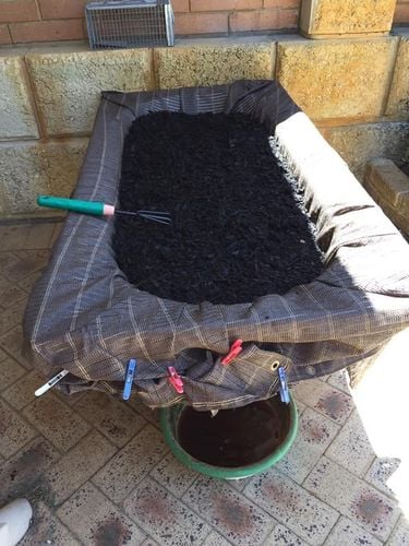 B99A8F35-7B51-4598-96AE-B066077E79E1.jpeg B99A8F35-7B51-4598-96AE-B066077E79E1.jpeg