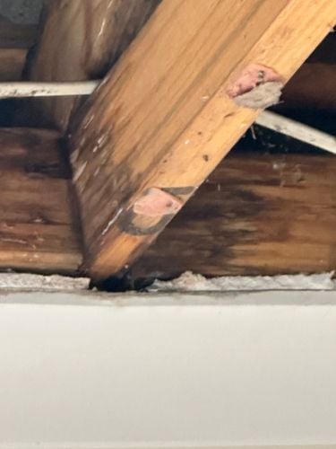 IMG_0093.jpeg IMG_0093.jpeg