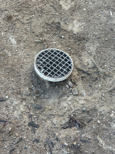 IMG_7535.jpeg IMG_7535.jpeg