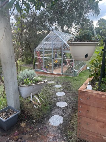 1D399ED8-B840-4C4A-8227-98B1C68D7147.jpeg 1D399ED8-B840-4C4A-8227-98B1C68D7147.jpeg