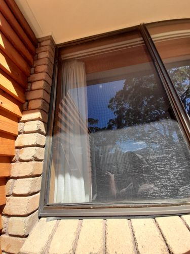 20201211_153644.jpg 20201211_153644.jpg