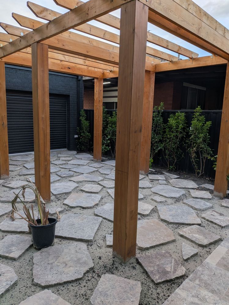 PXL_20251113_083134989.jpg PXL_20251113_083134989.jpg