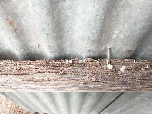 IMG20240429100017.jpg IMG20240429100017.jpg