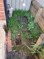 58ABE8E4-C50E-469A-92EE-D6B2009553DC_1_105_c.jpeg 58ABE8E4-C50E-469A-92EE-D6B2009553DC_1_105_c.jpeg