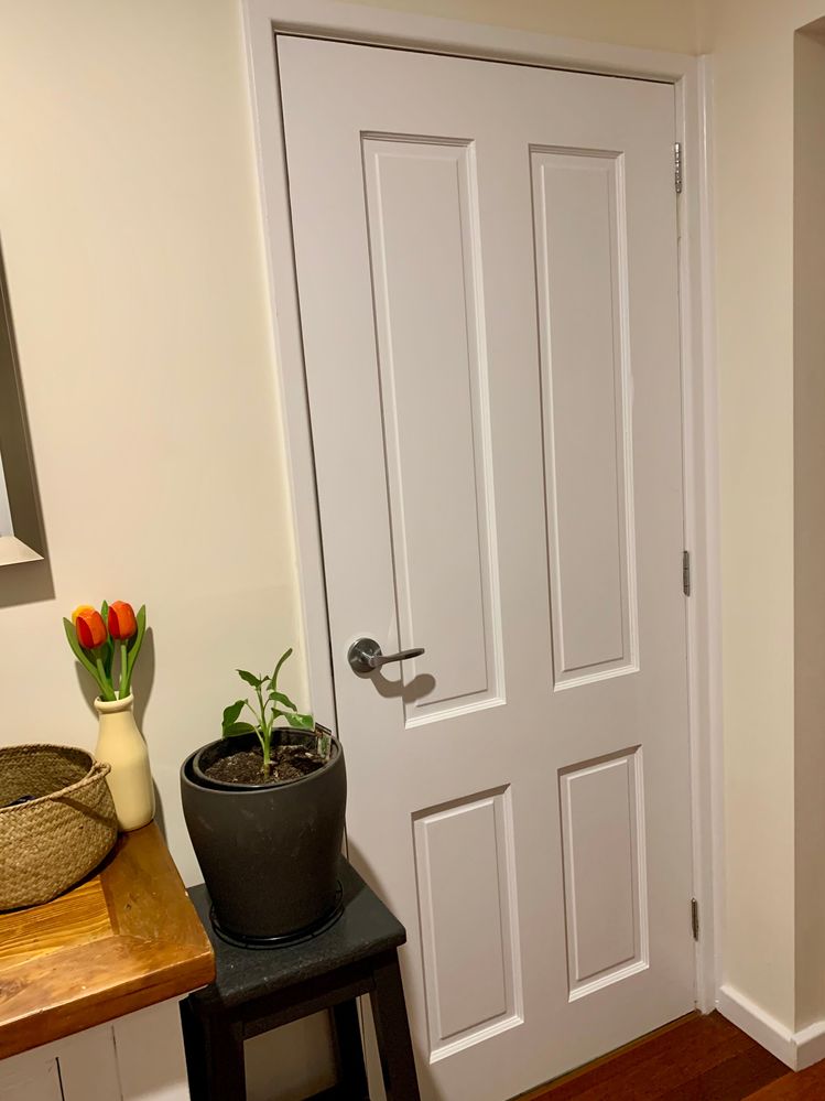 IMG_3387.jpeg IMG_3387.jpeg