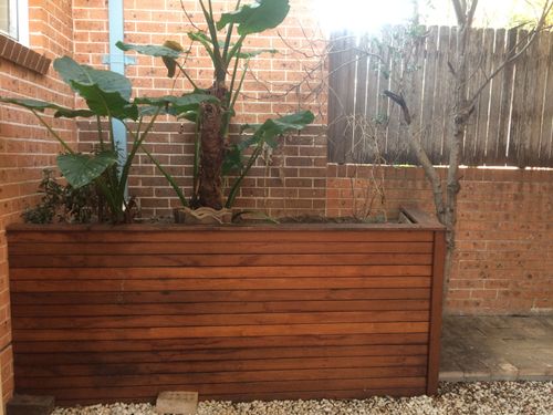 IMG_8067.jpeg IMG_8067.jpeg