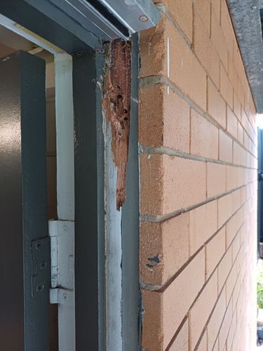 1000009468.jpg 1000009468.jpg