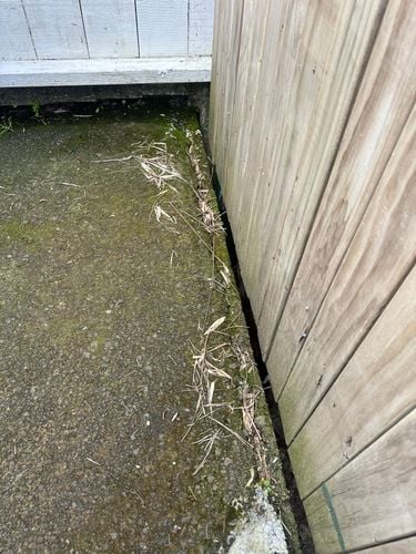 IMG_4797.jpeg IMG_4797.jpeg