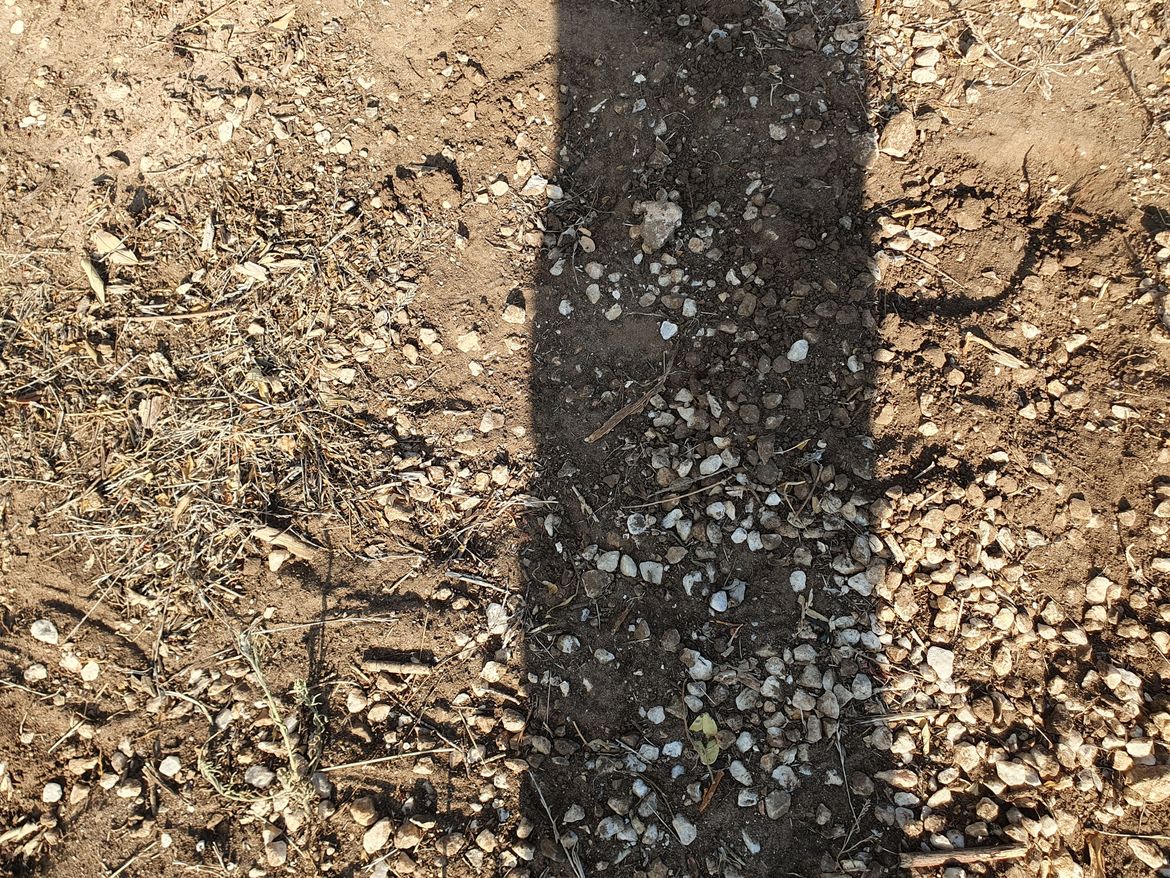 20240510_155330.jpg 20240510_155330.jpg