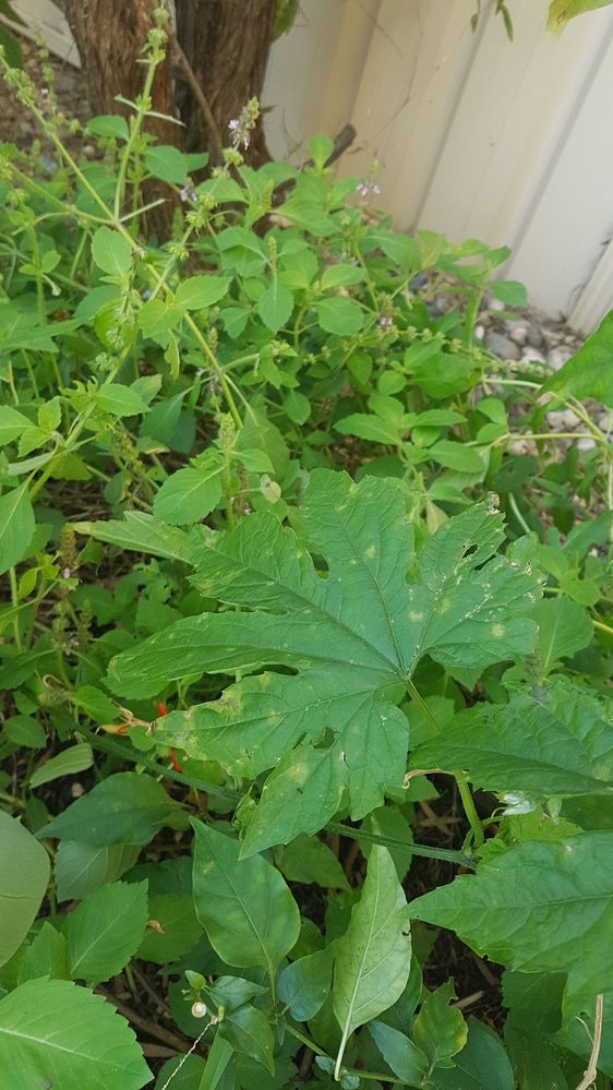 20220604_155425.jpg 20220604_155425.jpg