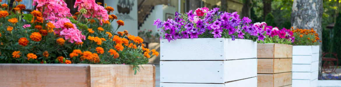 Hero Image Test Blog (80).png Hero Image Test Blog (80).png