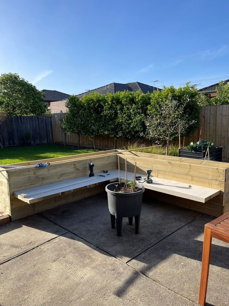 IMG_0332.JPEG IMG_0332.JPEG