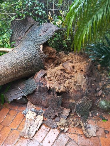 IMG20240601151611.jpg IMG20240601151611.jpg