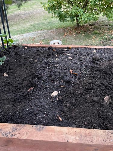 C58C34B2-E8DF-4105-855A-34257C649365.jpeg C58C34B2-E8DF-4105-855A-34257C649365.jpeg