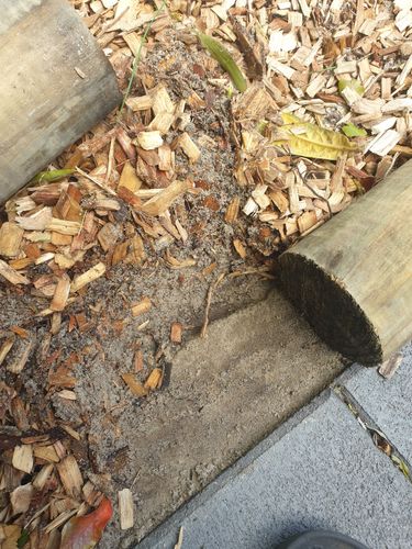 20250830_114405.jpg 20250830_114405.jpg