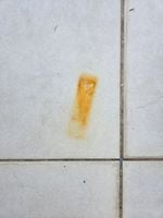 20250806_075701.jpg 20250806_075701.jpg