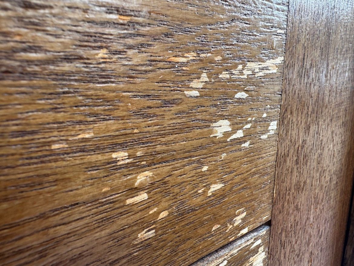 front door.jpg front door.jpg