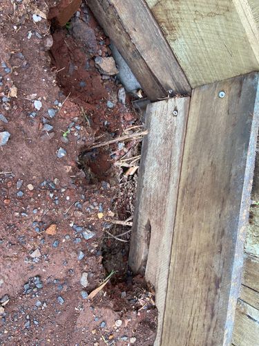 IMG_7533.jpeg IMG_7533.jpeg