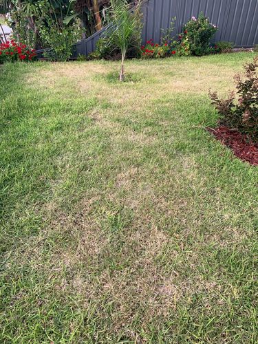 IMG_9763.jpeg IMG_9763.jpeg