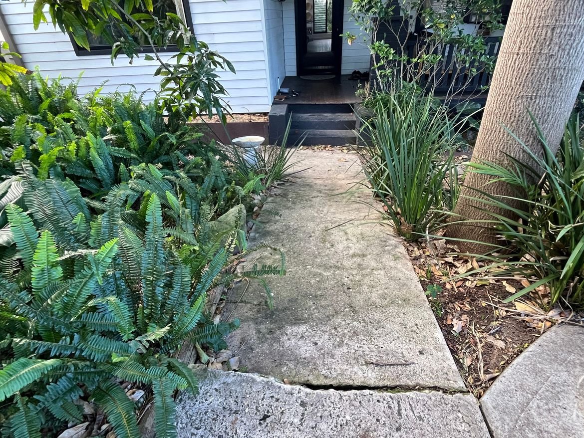 IMG_2496.jpeg IMG_2496.jpeg