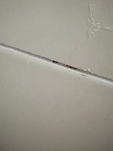 IMG_1676.jpeg IMG_1676.jpeg