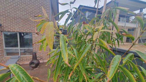 20251110_180035.jpg 20251110_180035.jpg