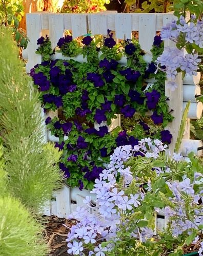 79C873BC-A730-49D1-AB45-AFC1C99C515F.jpeg 79C873BC-A730-49D1-AB45-AFC1C99C515F.jpeg