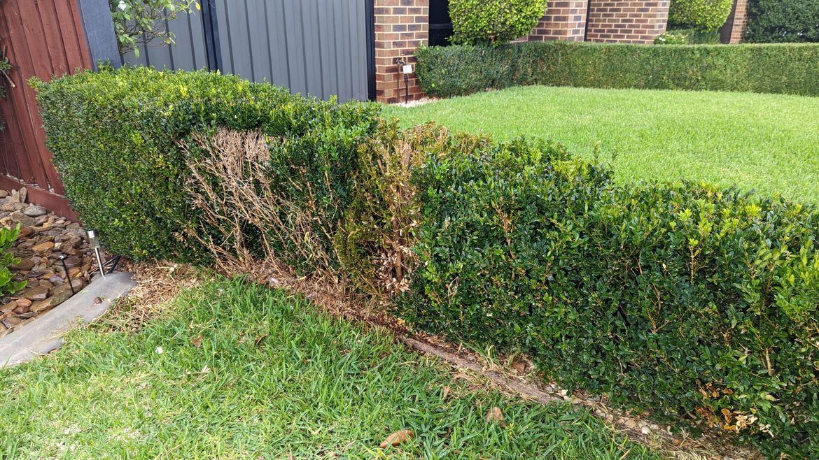 PXL_20220327_214615716.jpg PXL_20220327_214615716.jpg