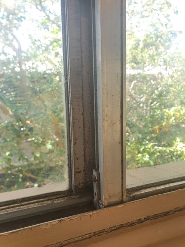 20200901_121745.jpg 20200901_121745.jpg