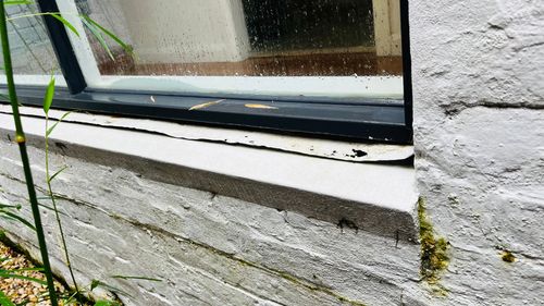 IMG_8136.jpeg IMG_8136.jpeg