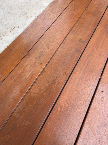 IMG_1151.jpeg IMG_1151.jpeg