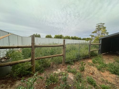 IMG_0367.jpeg IMG_0367.jpeg