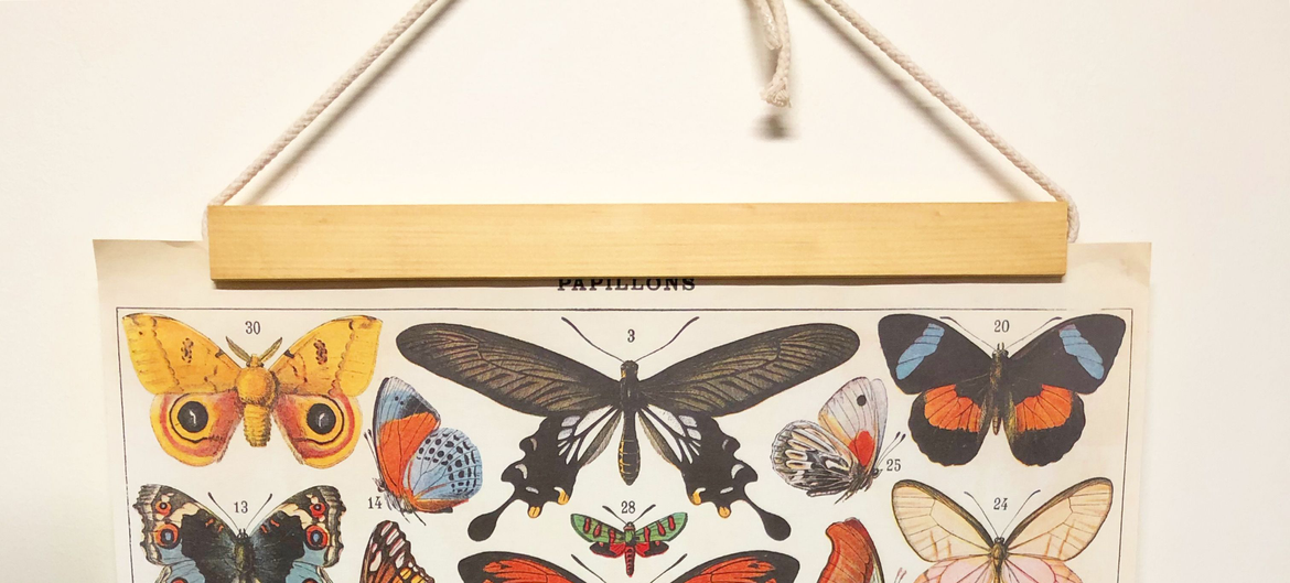 picture frame.png picture frame.png