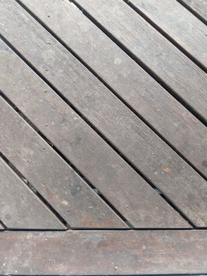 PXL_20230612_040325475.jpg PXL_20230612_040325475.jpg