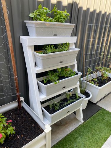 IMG_7173.jpeg IMG_7173.jpeg