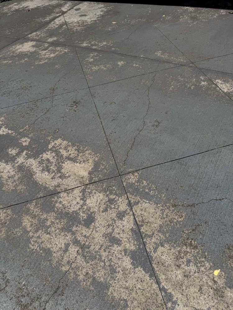 IMG_5578.jpg IMG_5578.jpg