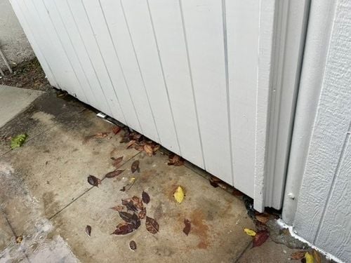 6B2693FF-7E61-4BB8-9B3E-7A173CBD6B69.jpeg 6B2693FF-7E61-4BB8-9B3E-7A173CBD6B69.jpeg