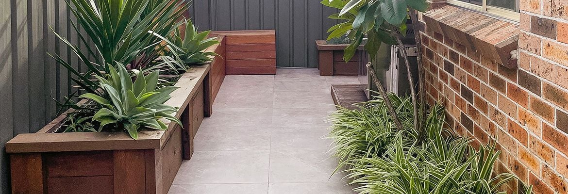 BackyardMakeover2.jpg BackyardMakeover2.jpg