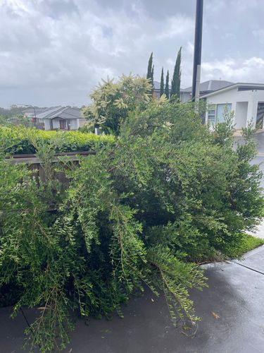 IMG_8228.jpeg IMG_8228.jpeg