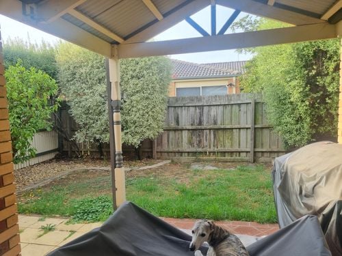 1000015311.jpg 1000015311.jpg