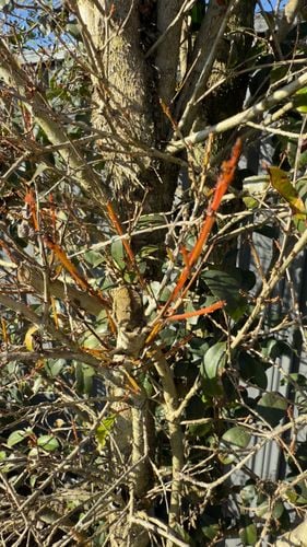 IMG_0887.jpeg IMG_0887.jpeg