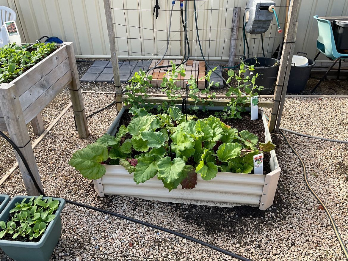 RobP_2-1723691863427.jpeg RobP_2-1723691863427.jpeg