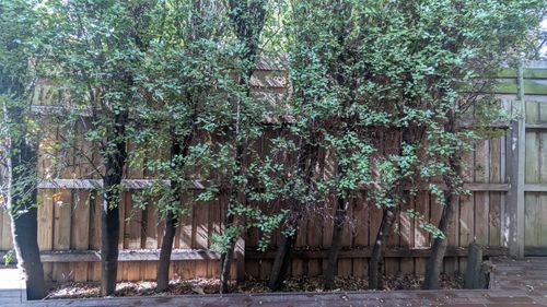 1000029804.jpg 1000029804.jpg