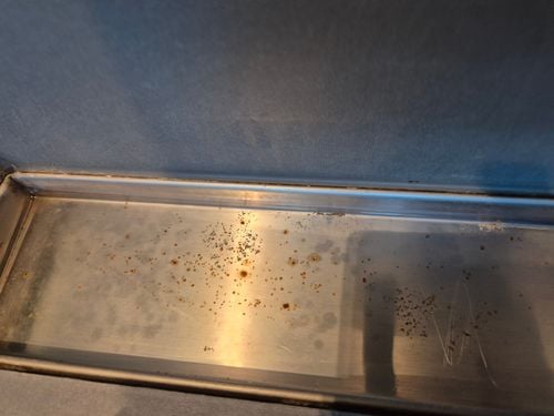 1000019039.jpg 1000019039.jpg