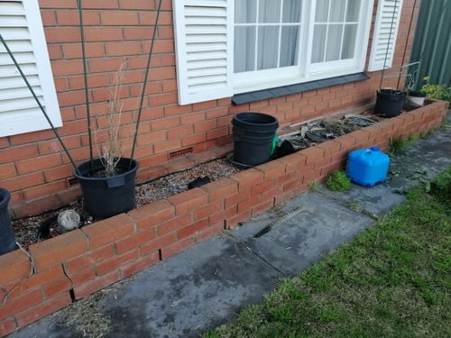 IMG_20200517_161426.jpg IMG_20200517_161426.jpg