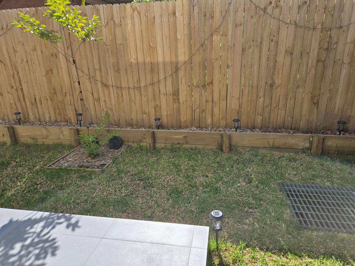 20241228_162952.jpg 20241228_162952.jpg