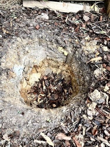 26BB057C-E248-4E82-84F2-0A7869C834BD.jpeg 26BB057C-E248-4E82-84F2-0A7869C834BD.jpeg