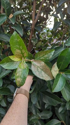 1000012926.jpg 1000012926.jpg